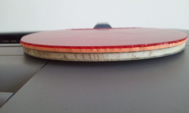 ��ɫ���������һ�ţ�ֻ�����Ρ�