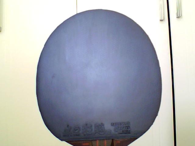 ֻ����ʮ�����ӵ��Ͽ���39�ȼ�F1���ţ�������ɫ���׻�ʡ��ߴ�15.3*15.3