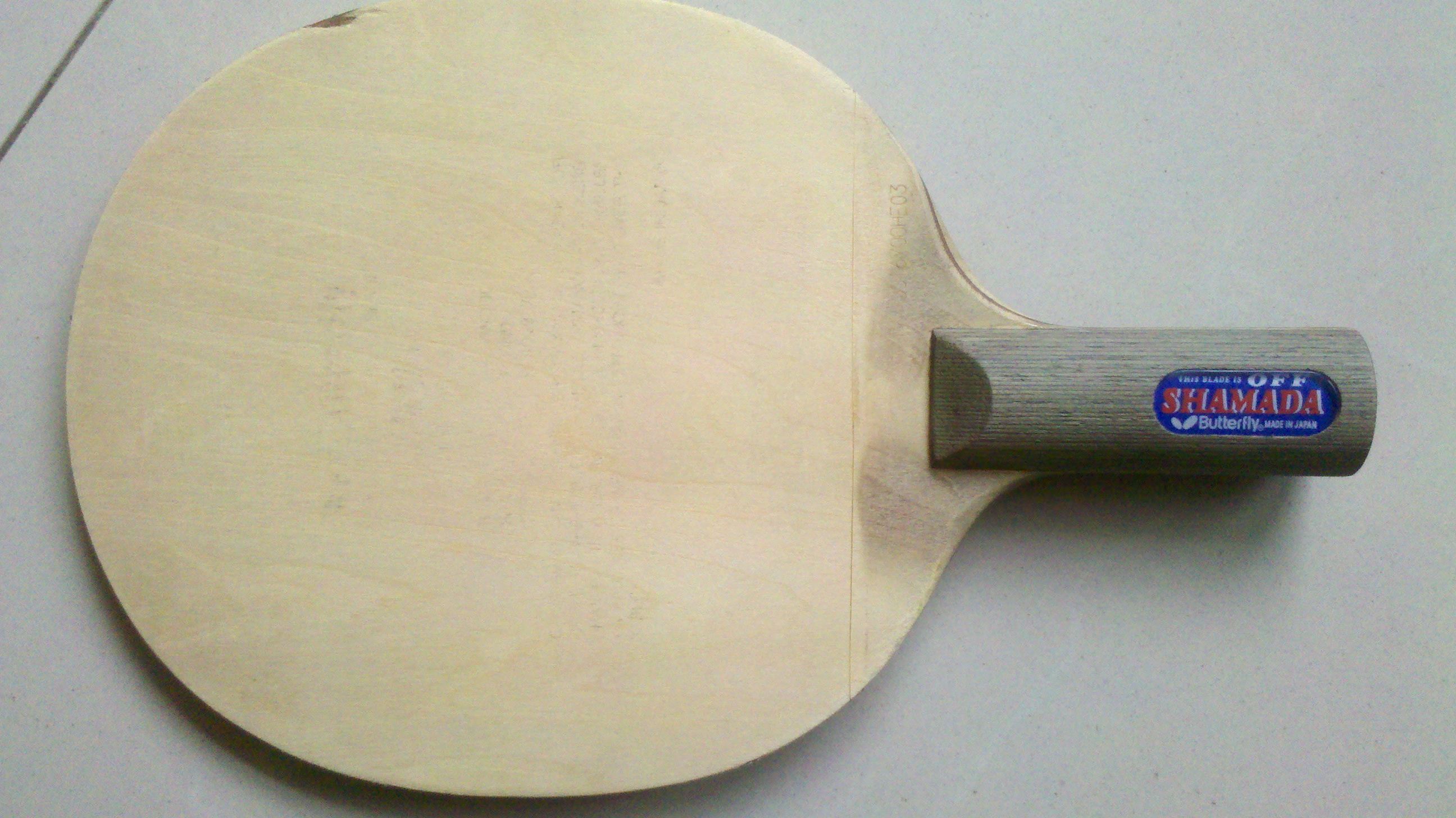 ������ɳ����