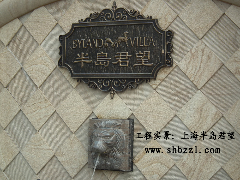 (�ѳ���(����ͷ�������̫����)���ղصĳ���-����ͣ���ϻ�JOOLA ROSSI FIRE(FL)