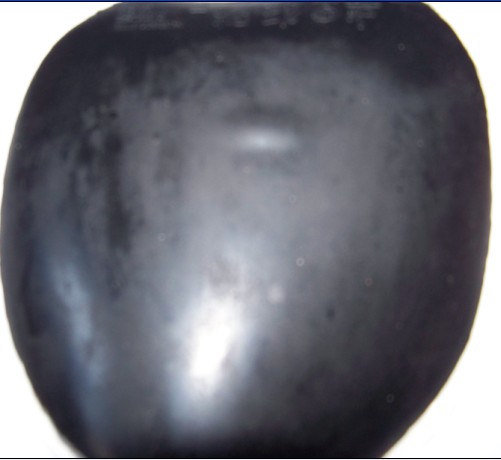 ����ר�õĹ���Ʒ��һ�� 100��