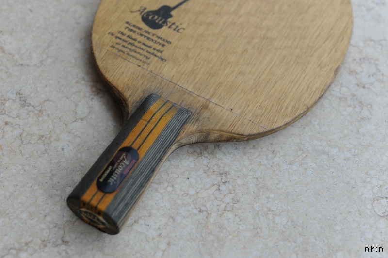 ������������ľ����