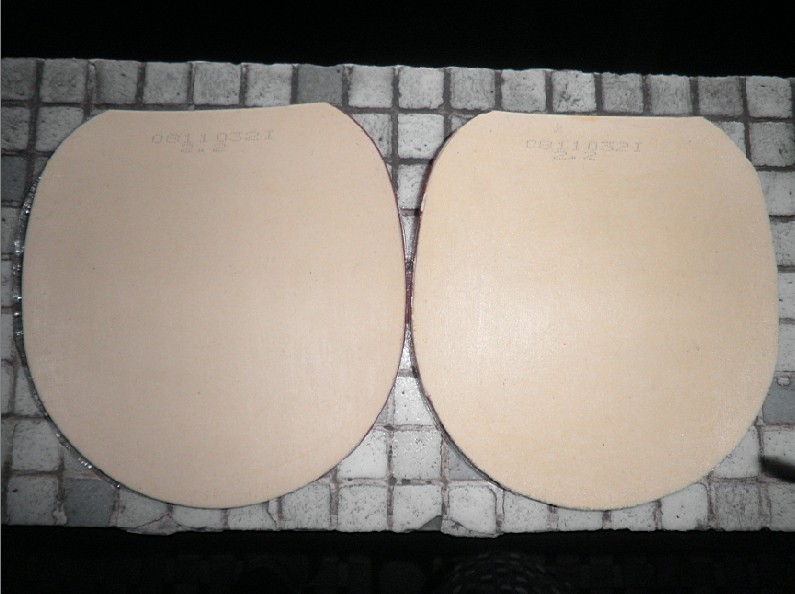 ��ֱ��CL���������ĺ���SRIVER L MAX�׽�