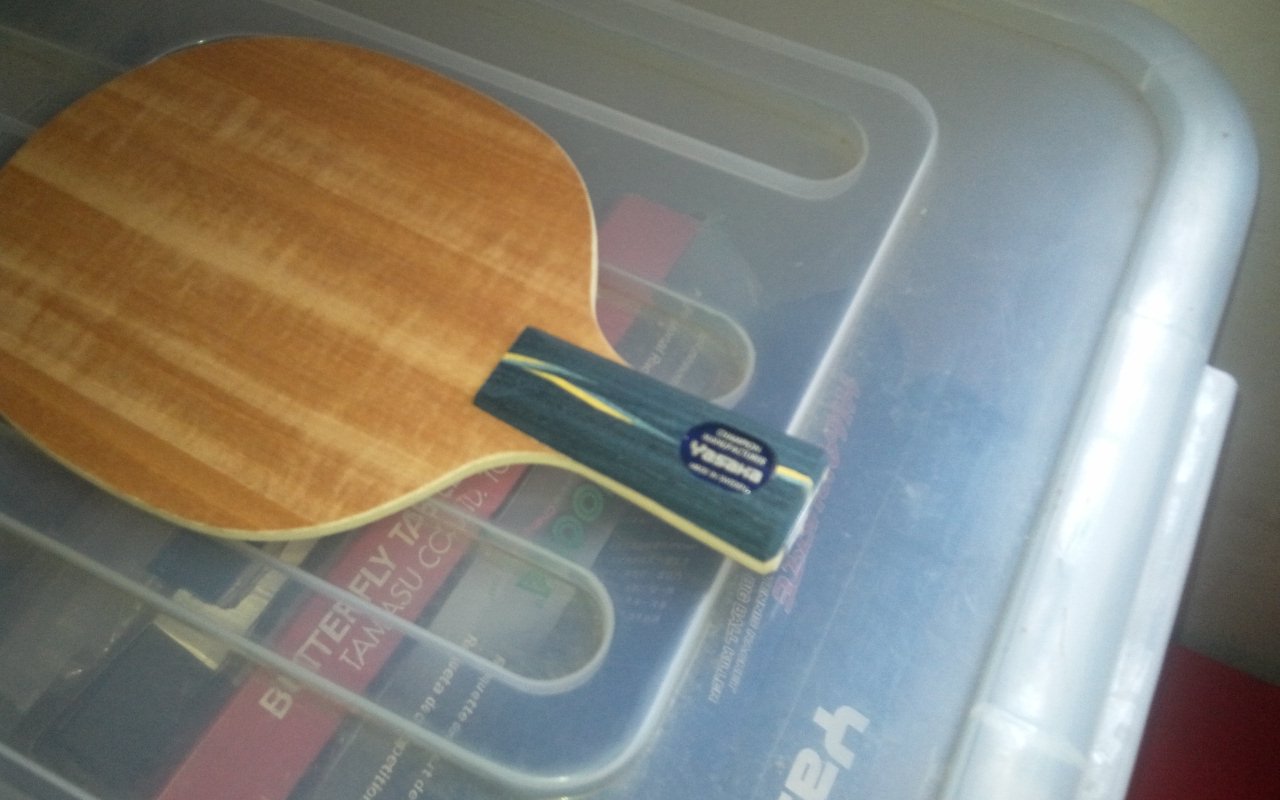 ֧�������հ�ye