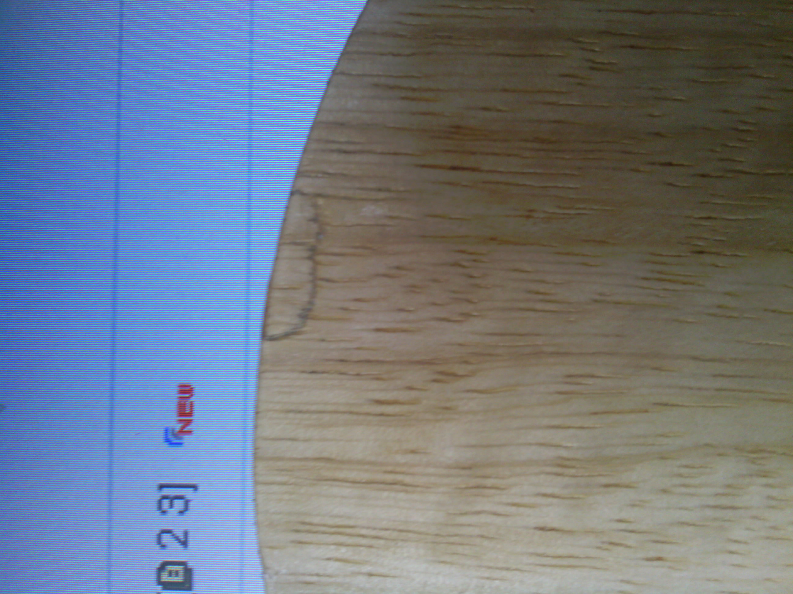 ��������÷����㴿ľ