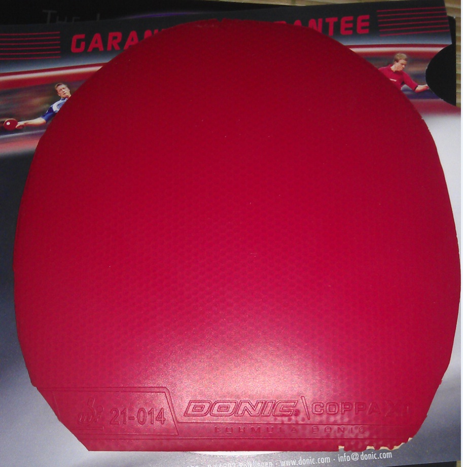 ������ʡ�񣬶����X1������������档