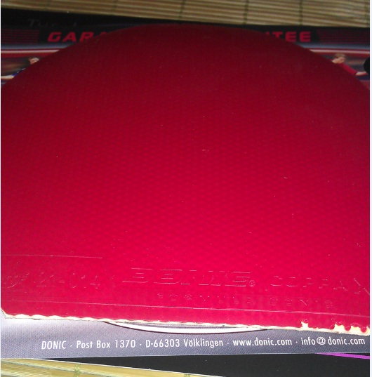 ������ʡ�񣬶����X1������������档