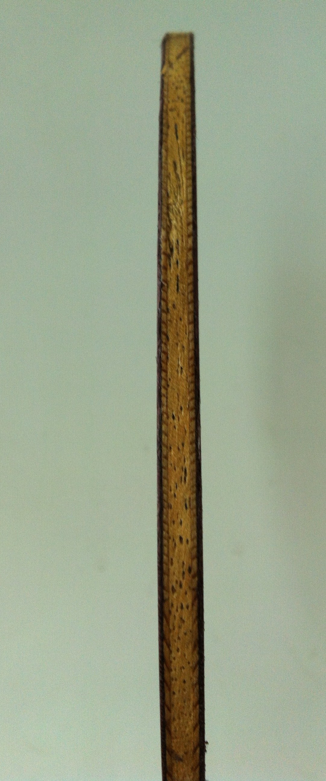 07���������ϸ���ͼ�ˣ���о������ƣ�ϣ�������ٿ��£��ǲ�����ģ������Ҫ������300