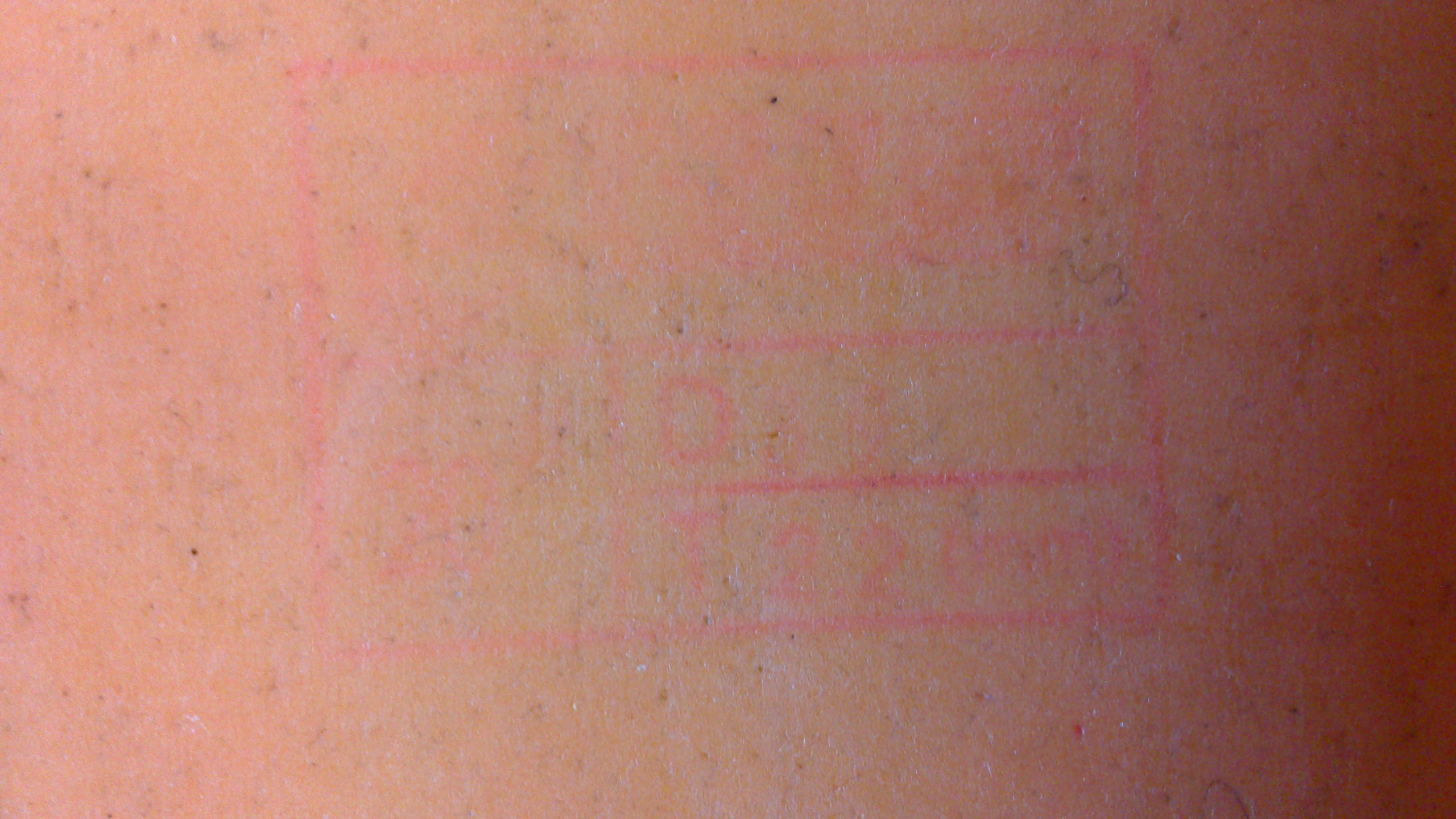 �����ѳ��������׵ģ����µ�����80������������T-3��120���Լ���һ��ʡ��100��