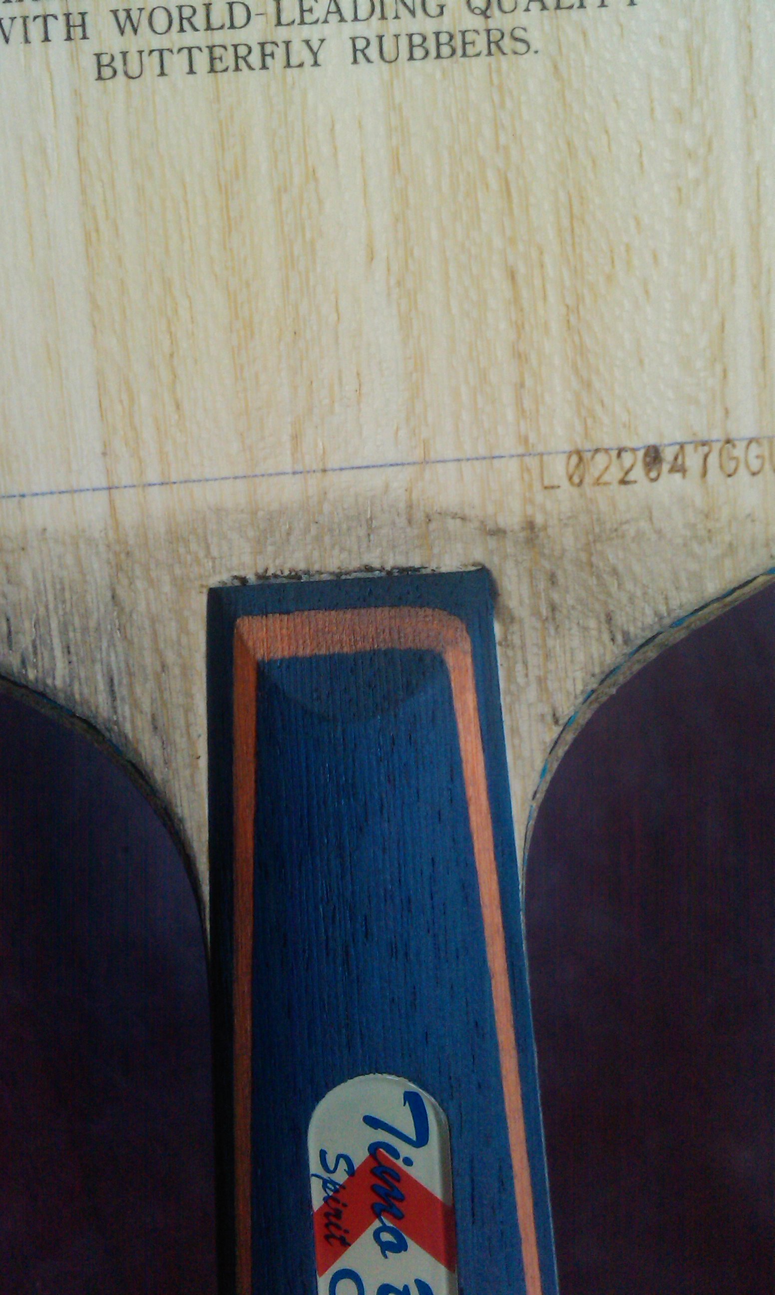 �����ѳ����Ͽ��