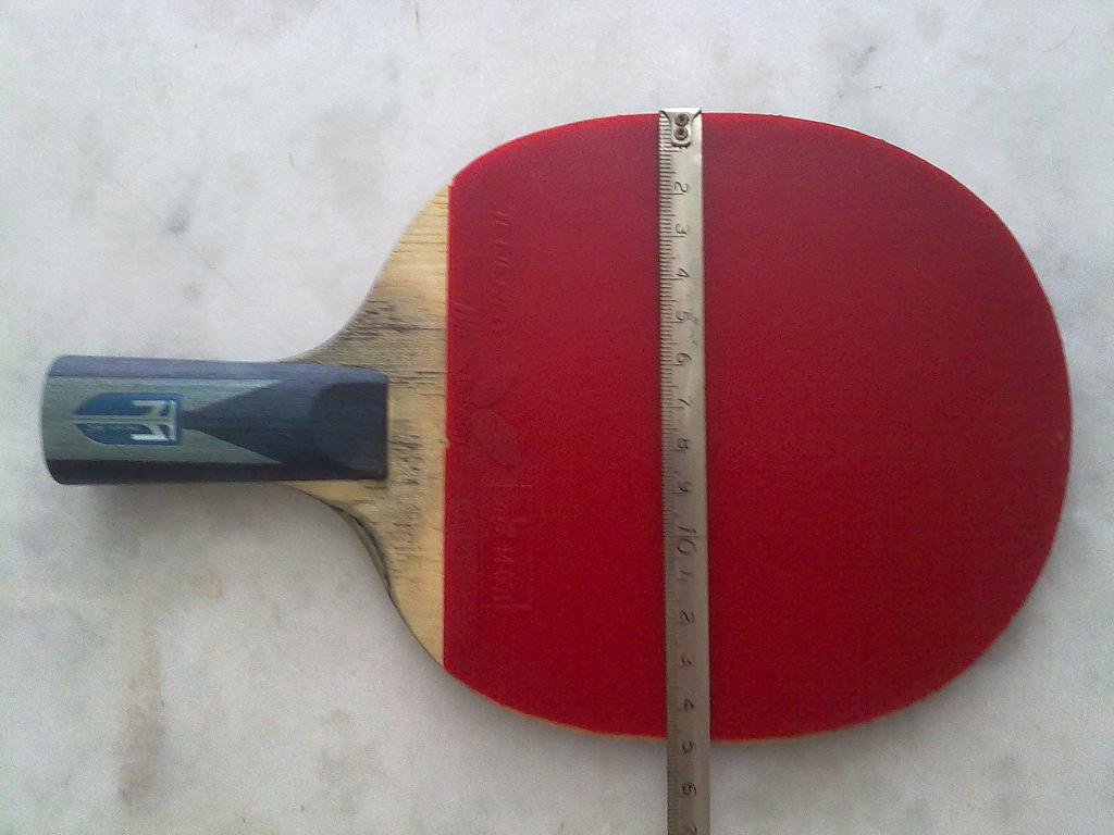 ֱ�岨�����棬��ɫ����T05��215Ԫ����