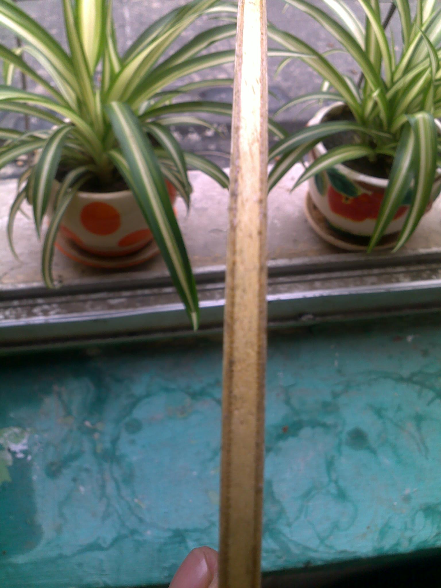 ����zl v3�����ӣ���Ǯ�����ߵȼۻ���� ����������ϵ