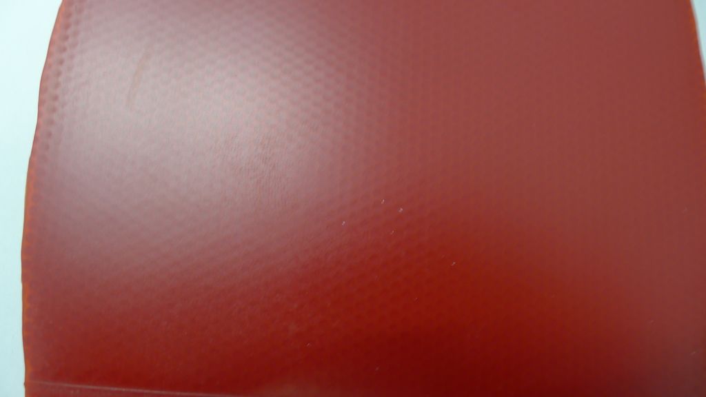 ����ֱ һŵ����729��������