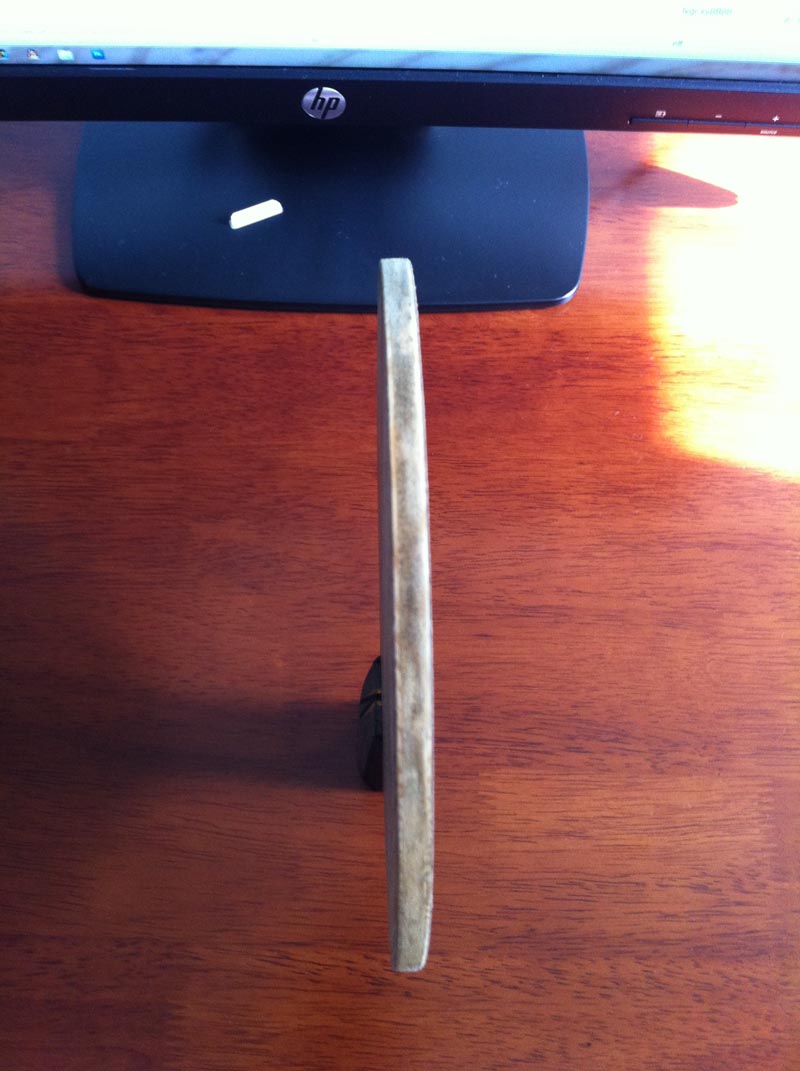 ���ѳ��л�yeo��