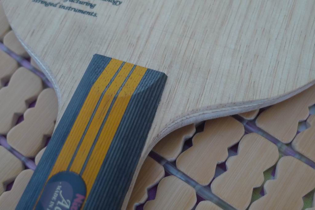 ���� ���� ľ����