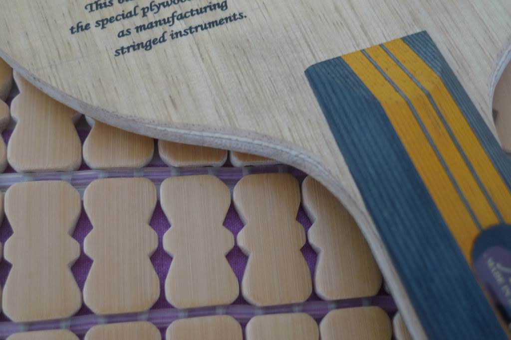 ���� ���� ľ����