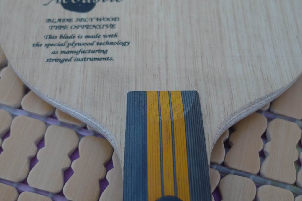 ���� ���� ľ����