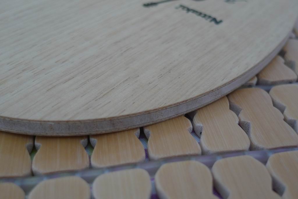 ���� ���� ľ����