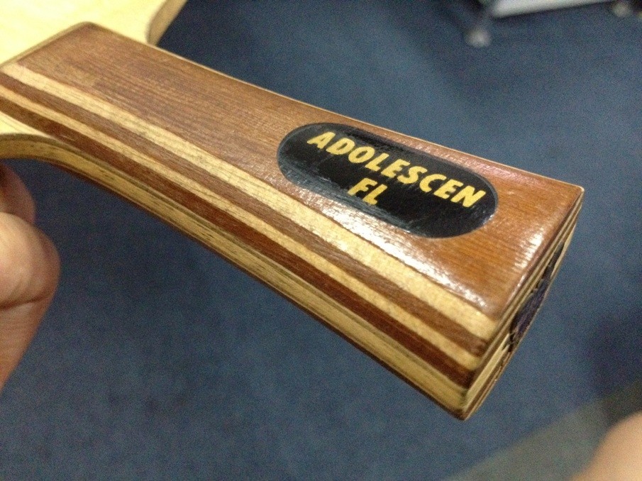 230 ���ʳ� ������ �������