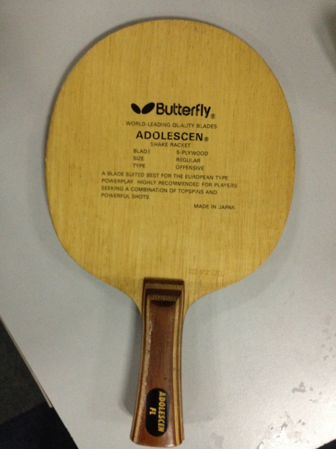 230 ���ʳ� ������ �������