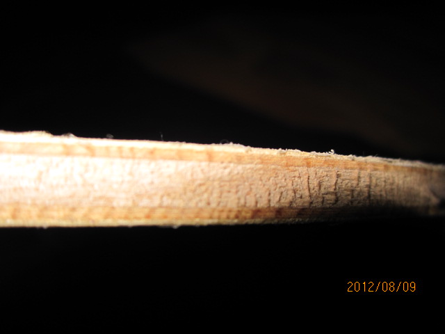 STIGA �� �� �������  80 Ԫ �� ��