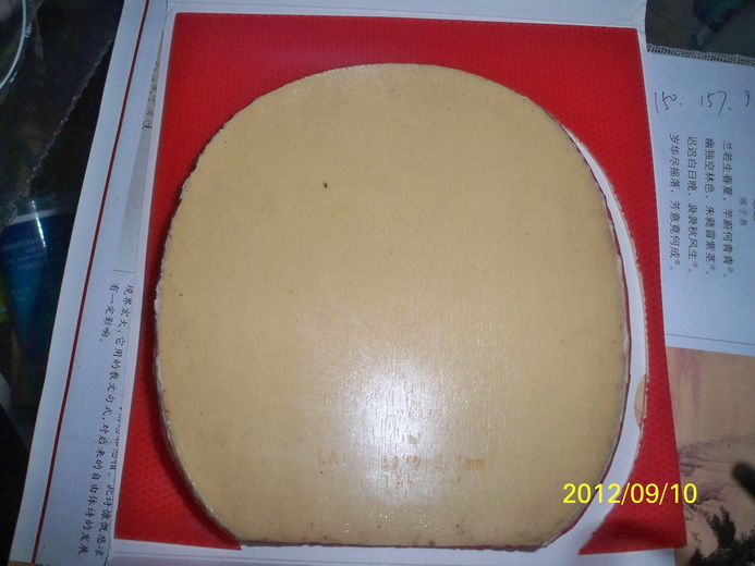 BRYCE SPEED FX��ɫ ʹ��ʱ��ʮ��Сʱ  ����˫���İ�ʹ�ü���  �����л� ����9������