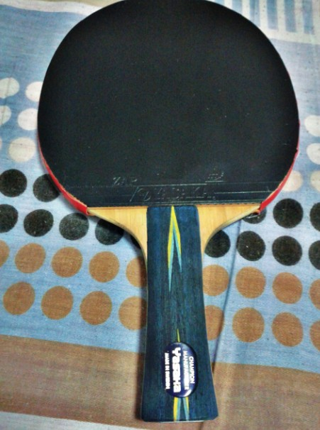 YE fl96ֻΣˣǳ£300ʵ