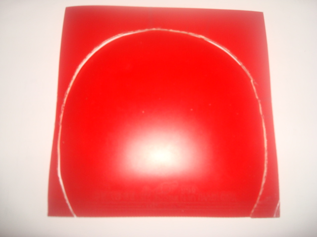 ��������999  729��Ƥ�����ں���潺����ľֱ��