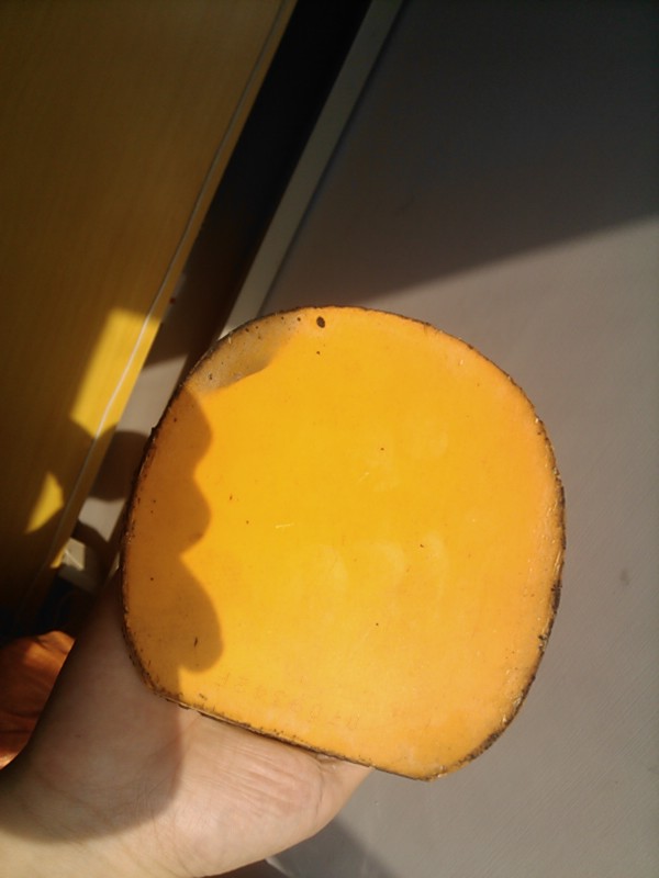 ���룡��450�����ƺ�������������Ϳ�쭽�Ƥ������