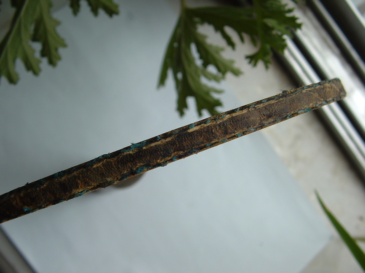 ��2��ֱ��������ͷ����� ֧��������