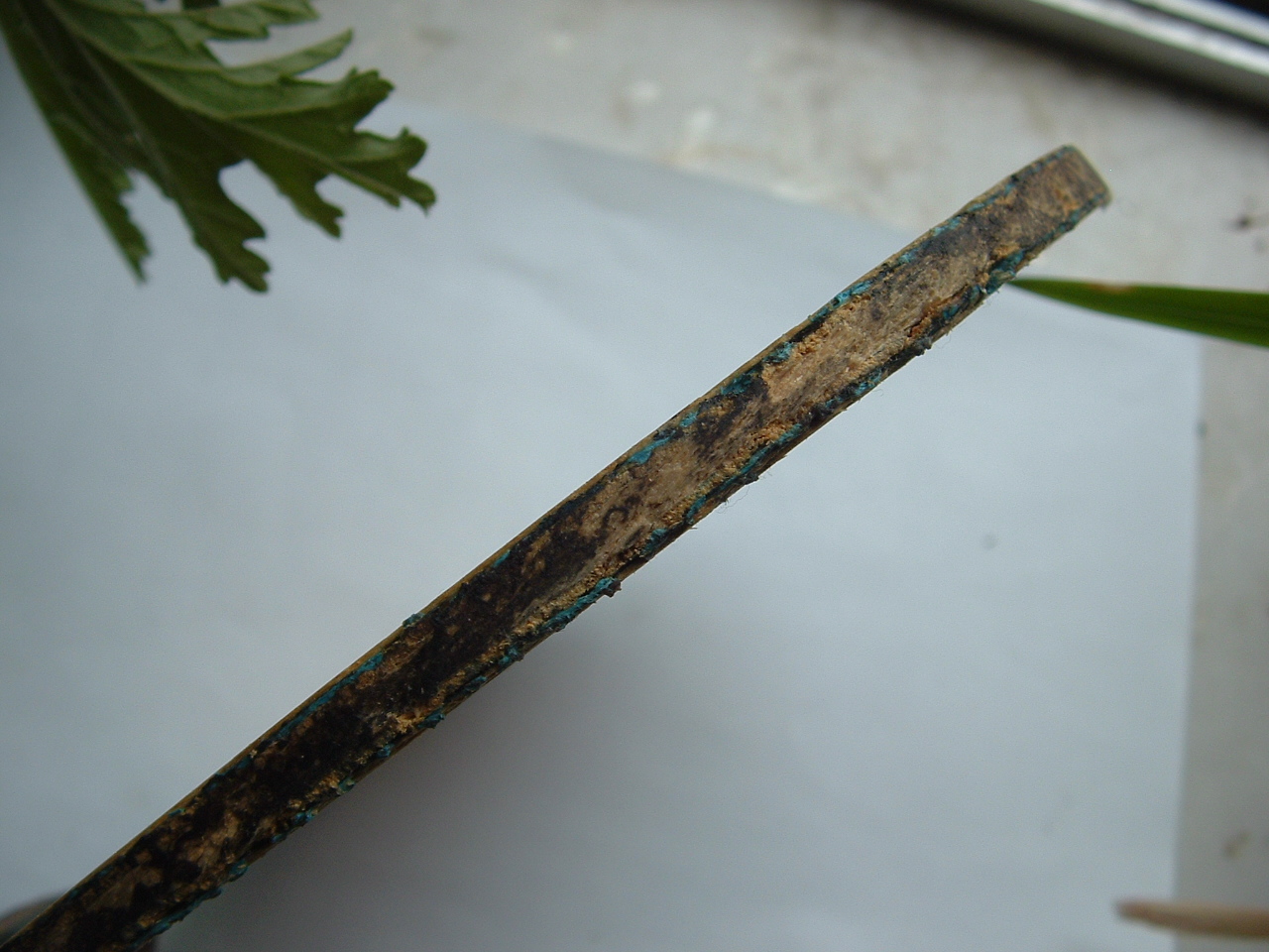 ��2��ֱ��������ͷ����� ֧��������