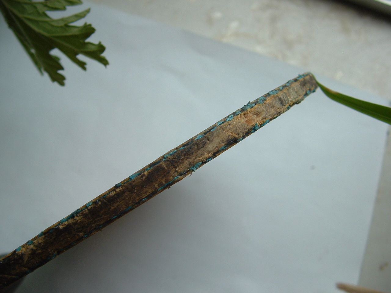 ��2��ֱ��������ͷ����� ֧��������