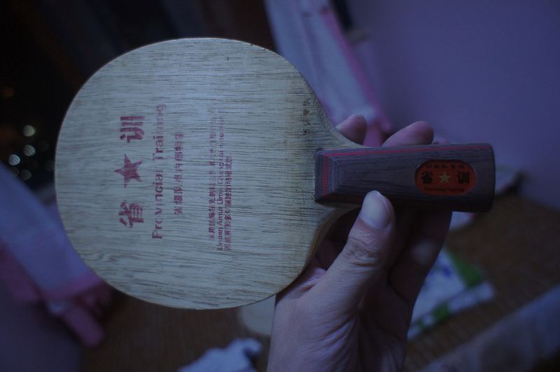 ���Ű塾ʡѵ����������ɳ��ɻ�