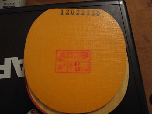 ���������׽����ɫ����49��ʡ����������������������������档��