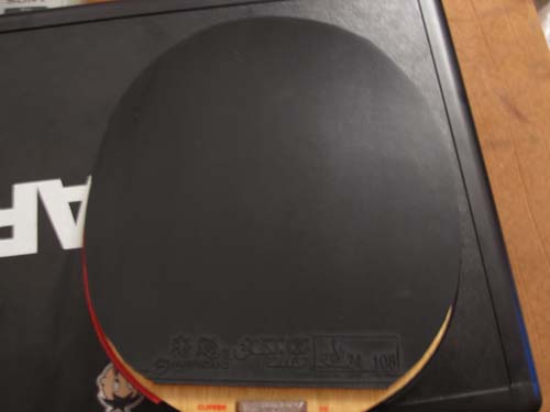 ���������׽����ɫ����49��ʡ����������������������������档��