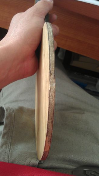 ������ľ������395���ʣ�