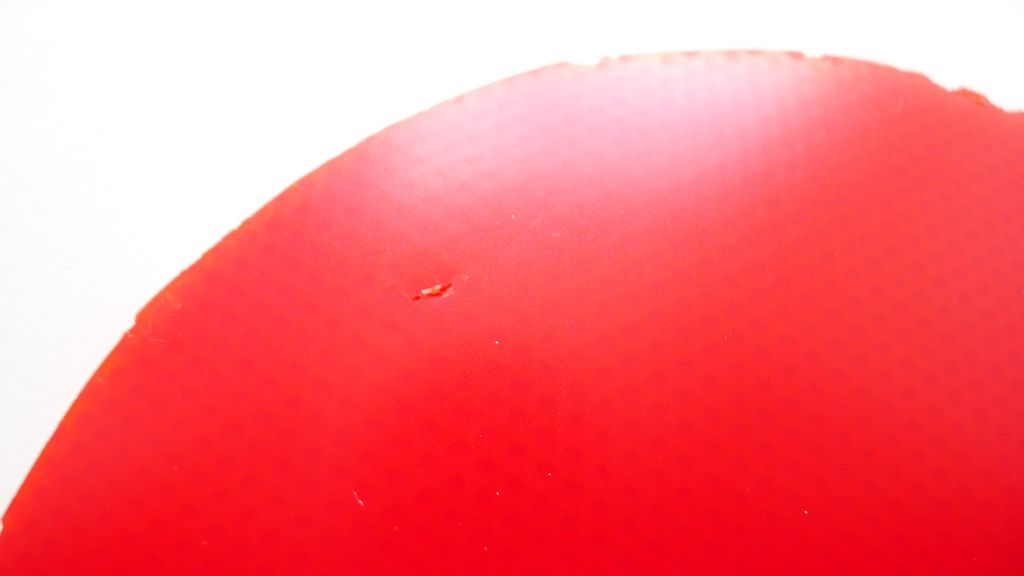 ���� ��� ʡ�񣨺ڣ�������el���죩�����160������������