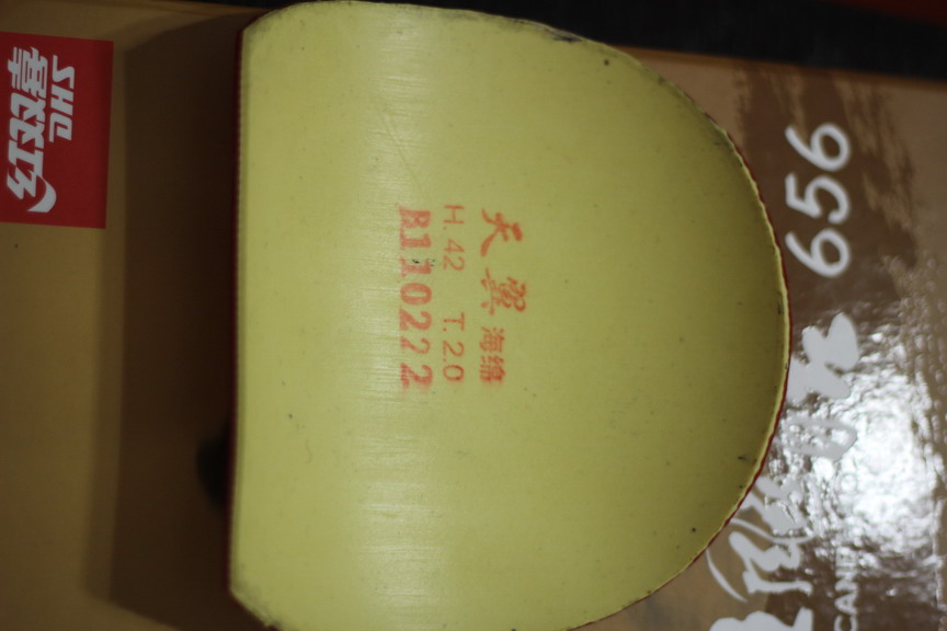 �����656����99�µĿ��� ����