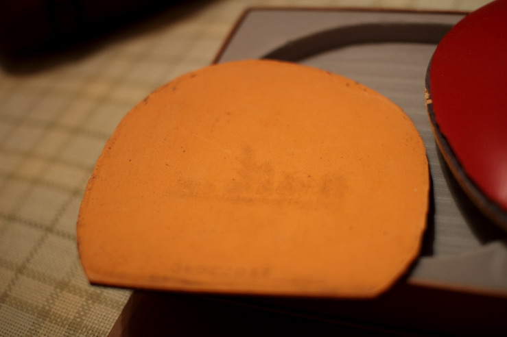 ֧���������656����99�µĿ��� ����