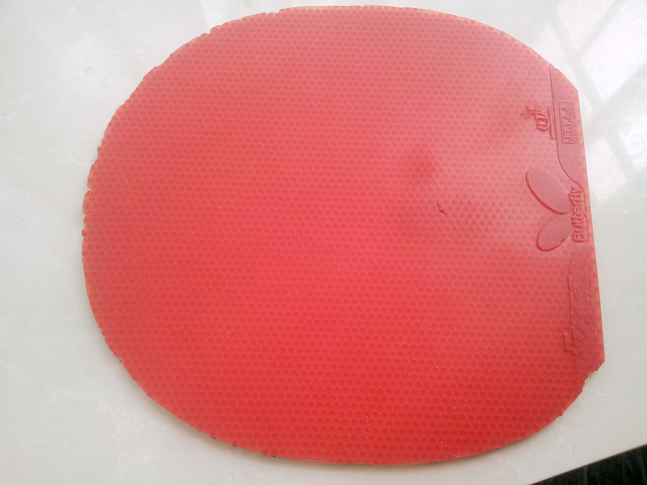 ~~~~~~~~~~~~����innerforce zlf ��ɫ���~~~~~~~~~