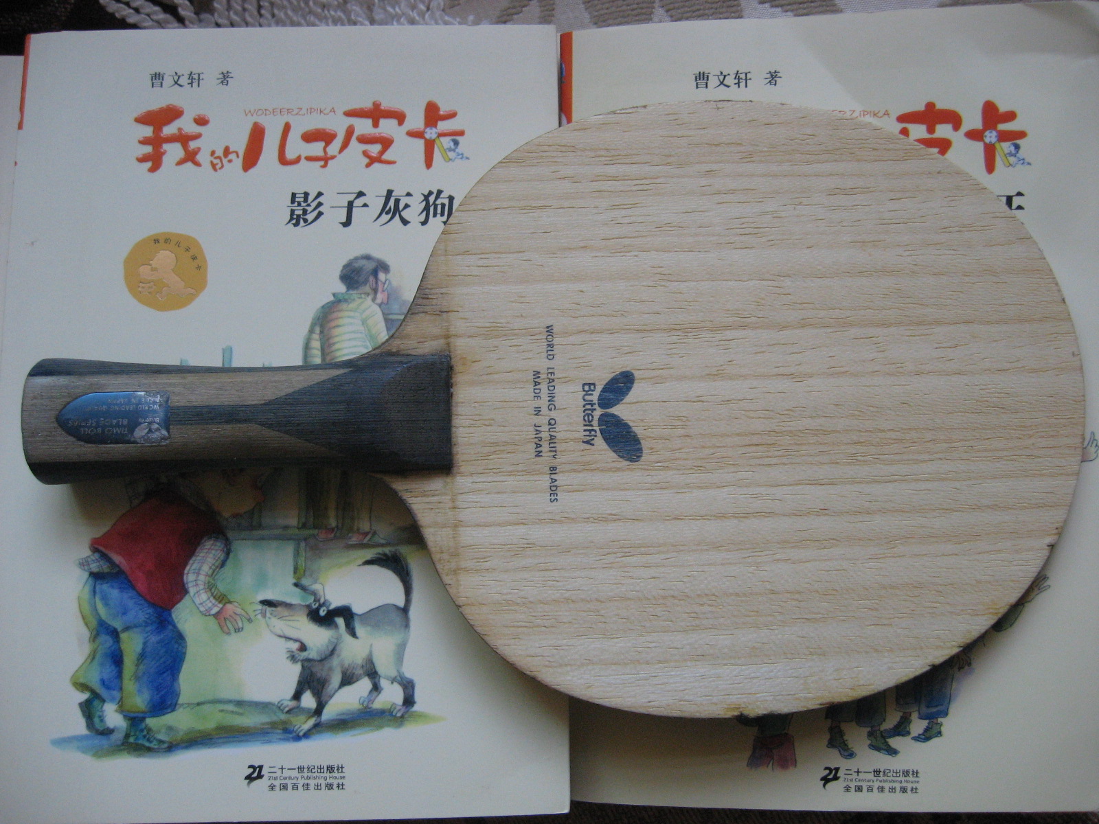 ���˴�������ZLC��