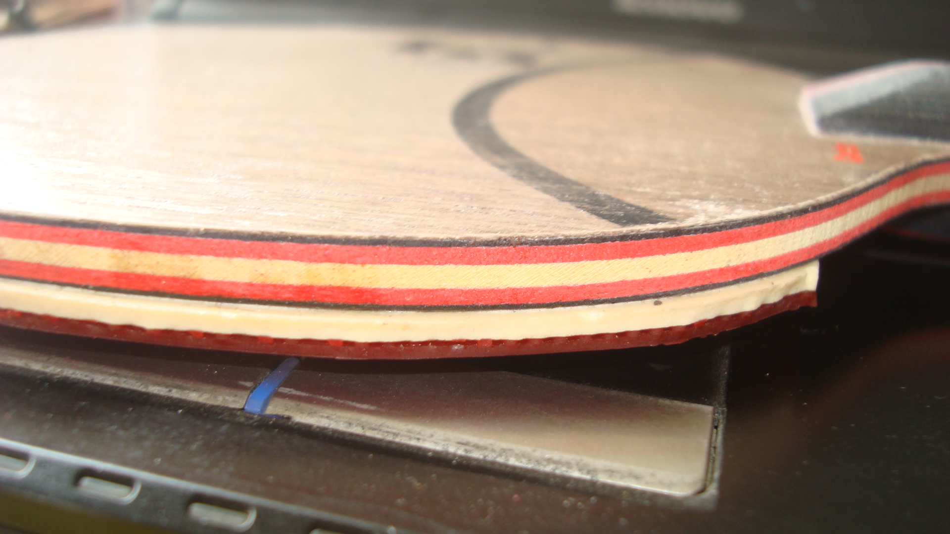 �ÿ�����ɼ��𩻻�壬ֻ��֧�����õġ�