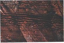 [ԭ��]ľ��֪ʶ֮�����㾭������������