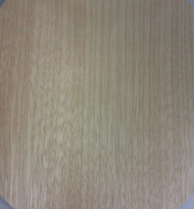 �ٳ�ŷ��YCA �۸��Ż�