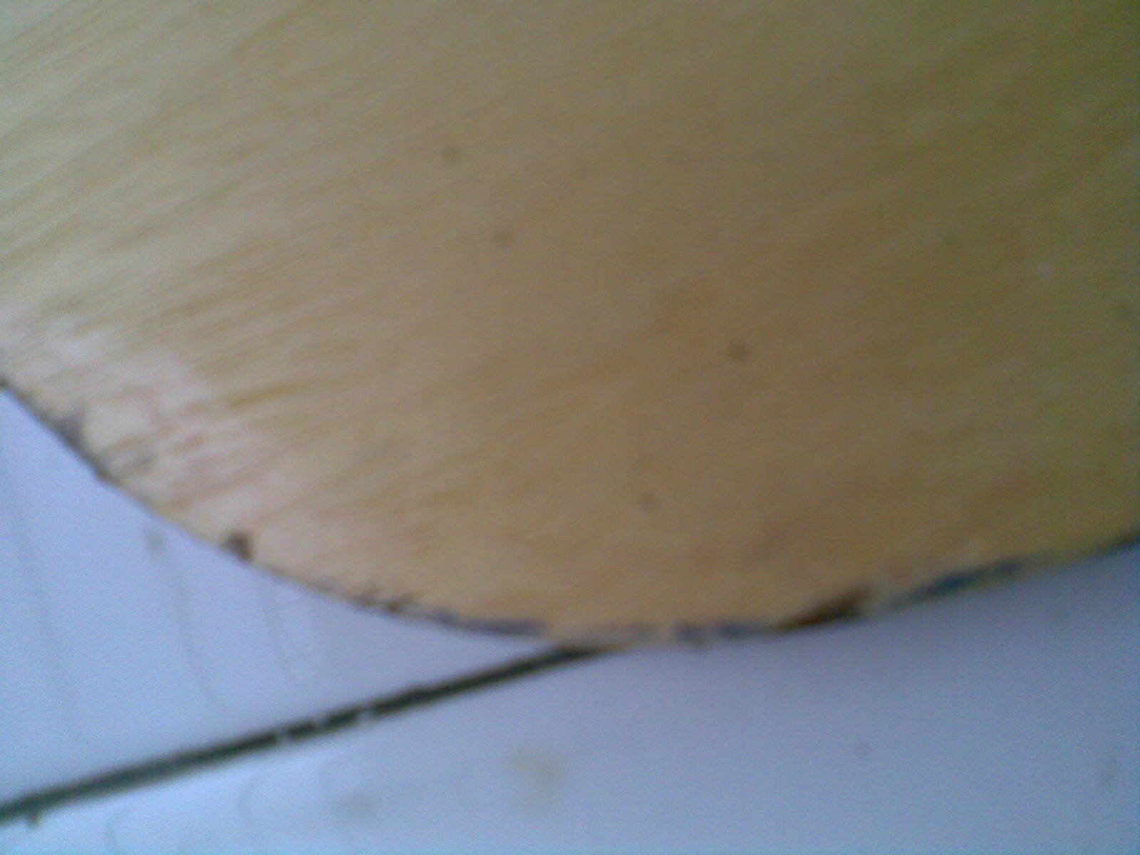 ͦ����̼�� ֻ������