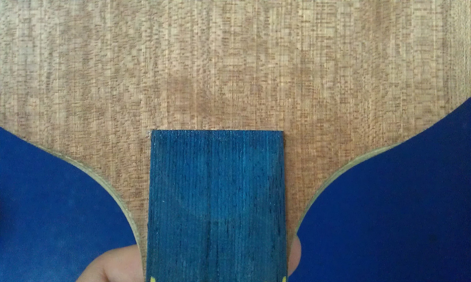 �������������W6+EC13+��������=300