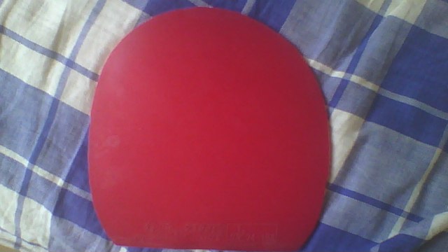 �ͼ۳��۶������ý�Ƥ