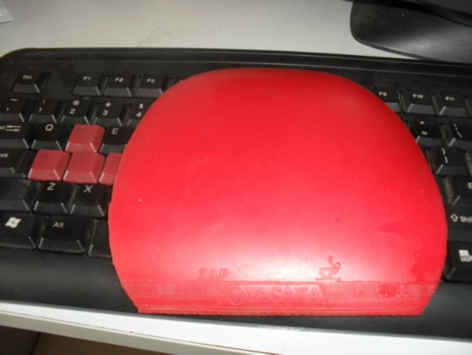 [ԭ��]�Եװ���Ľ�Ƥ�����ڳ��� 8��9���£���ͼ