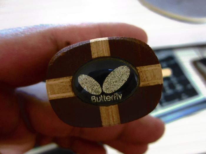 ŷ��������ľ�����ģ����ǻ� ������