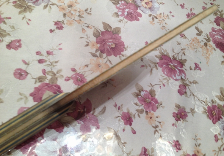 �������л� viscaria FL.����ԭ���׽�һ��